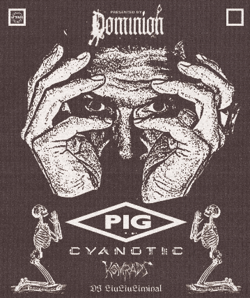 PIG